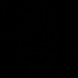 Meet your Posher, Eileen